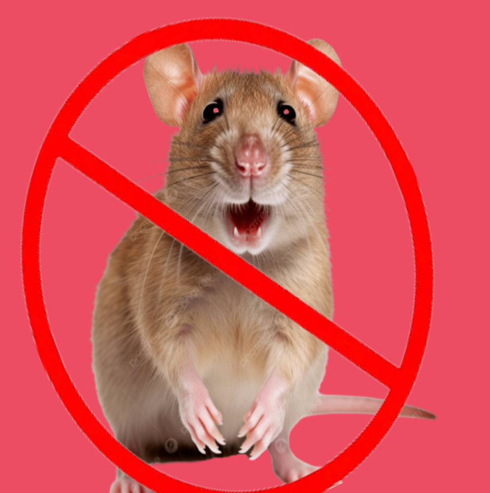 Крыса убрана